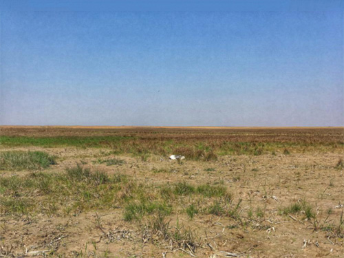 2017��3�°�����׷��