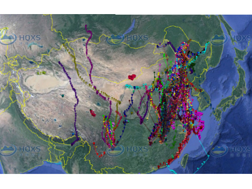 2018��2�¶�������Ǩ��׷��