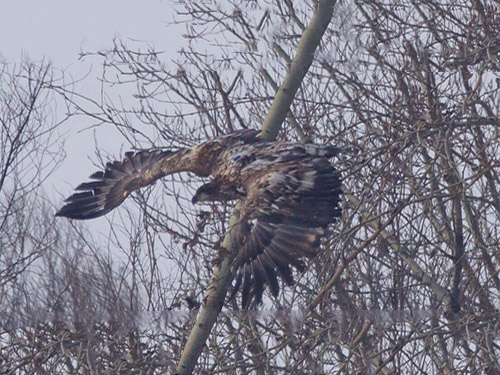 2015��8�°�β����׷��