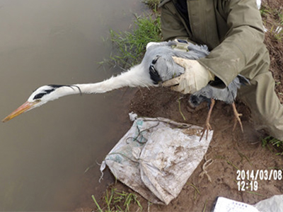 2014��3�²���׷��