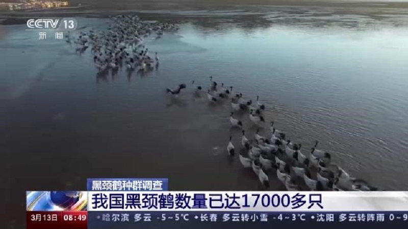 ���˻����㡢����׷�ٹ켣�����ھ�����Ŀ�����Ӳ���