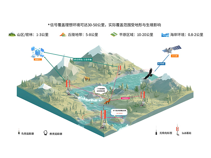 7790�ط����Ź������IoB���绯���ϵͳ��������Ǩ�㲻������