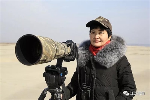 7790�ط����Ź������,����Ұ������׷��,��������׷����,����׷����