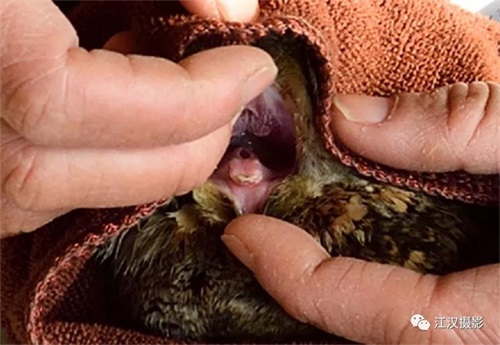 7790�ط����Ź������,����Ұ������׷��,��������׷����,����׷����