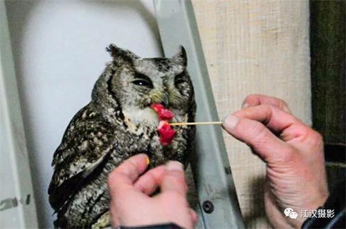 7790�ط����Ź������,����Ұ������׷��,��������׷����,����׷����