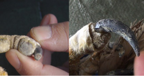 7790�ط����Ź������,����Ұ������׷��,��������׷����,����׷����