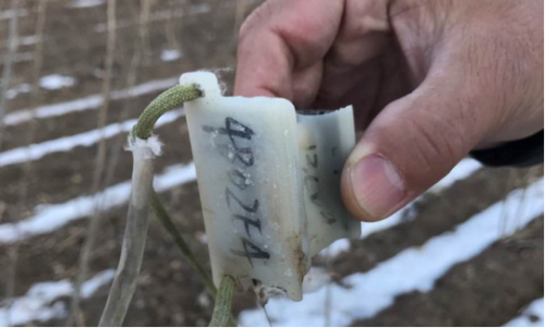 7790�ط����Ź������,����Ұ������׷��,��������׷����,����׷����