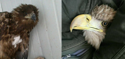 7790�ط����Ź������,����Ұ������׷��,��������׷����,����׷����