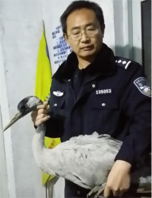 7790�ط����Ź������,����Ұ������׷��,��������׷����,����׷����