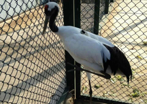 7790�ط����Ź������,����Ұ������׷��,��������׷����,����׷����