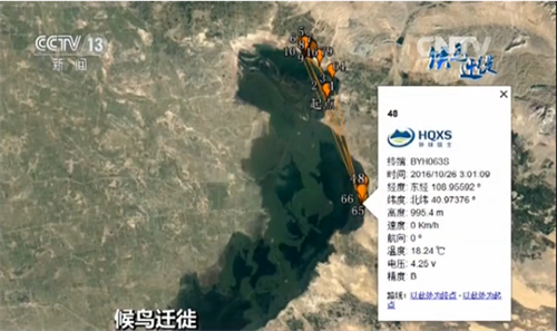 7790�ط����Ź������,����Ұ������׷��,��������׷����,����׷����