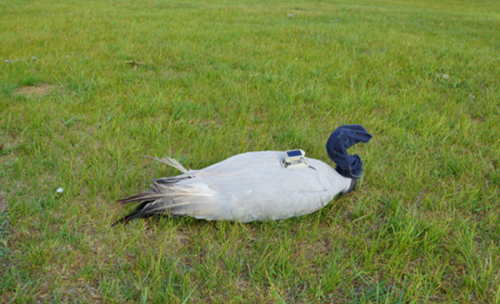 7790�ط����Ź������,����Ұ������׷��,��������׷����,����׷����