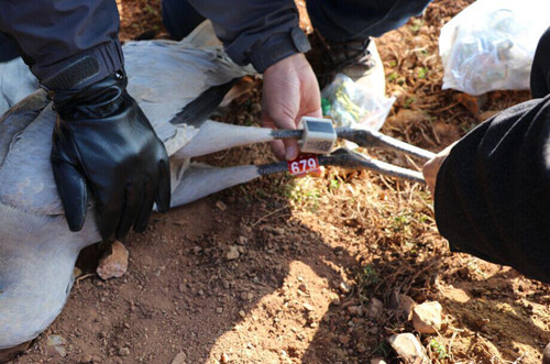 7790�ط����Ź������,����Ұ������׷��,��������׷����,����׷����