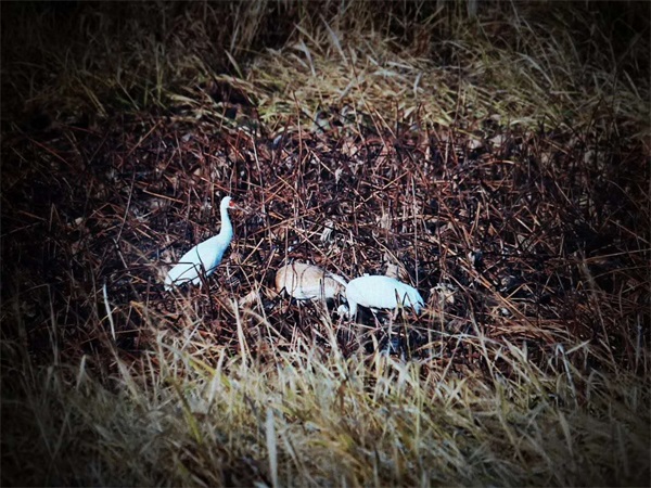 7790�ط����Ź������,����Ұ������׷��,��������׷����,����׷����