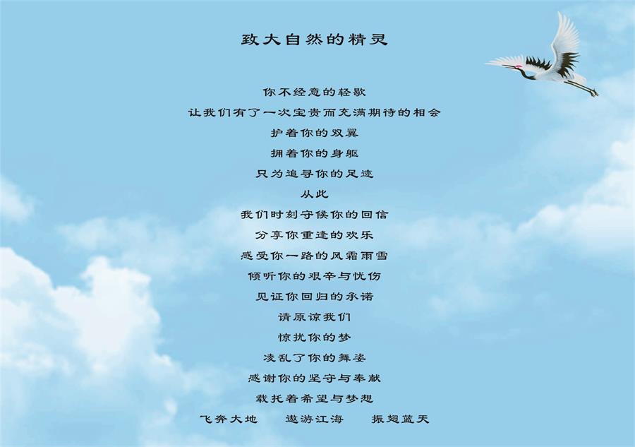 7790�ط����Ź������,����Ұ������׷��,��������׷����,����׷����