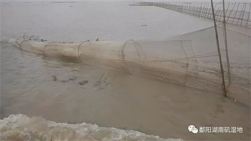 7790�ط����Ź������,����Ұ������׷��,��������׷����,����׷����