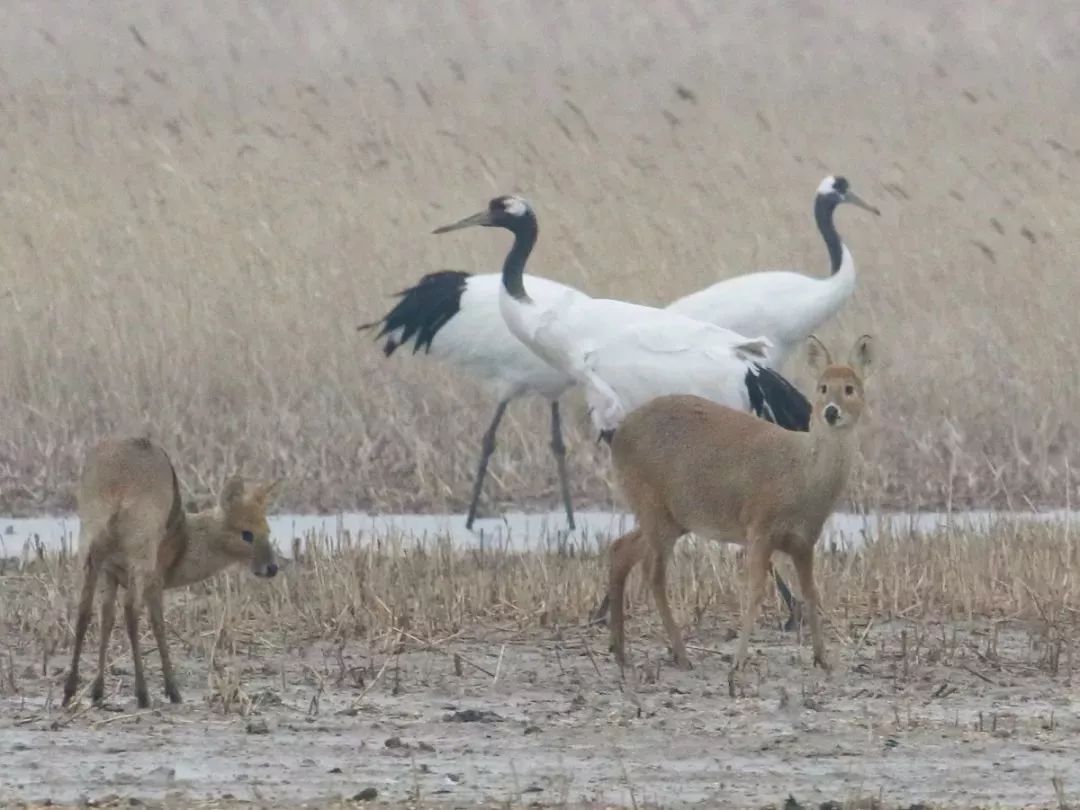 7790�ط����Ź������,����Ұ������׷��,��������׷����,����׷����