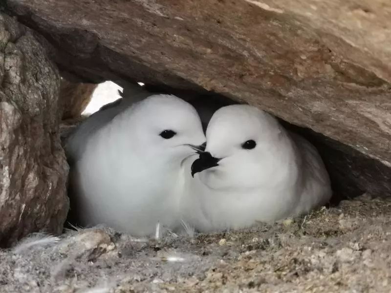 7790�ط����Ź������,����Ұ������׷��,��������׷����,����׷����