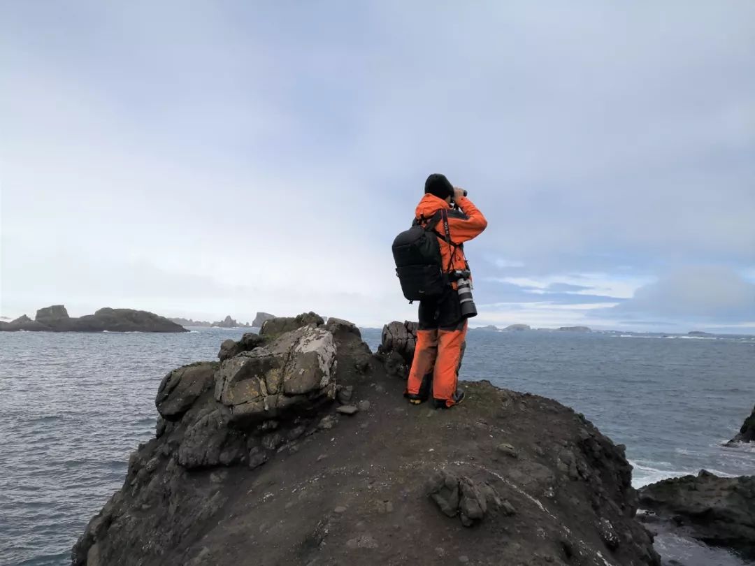 7790�ط����Ź������,����Ұ������׷��,��������׷����,����׷����