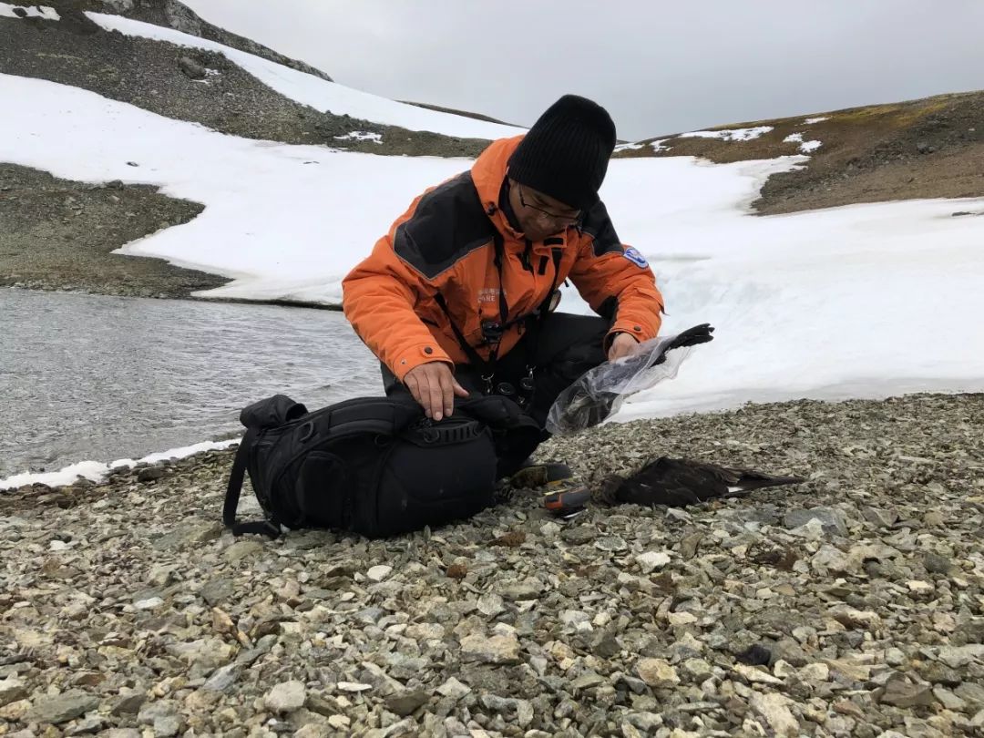 7790�ط����Ź������,����Ұ������׷��,��������׷����,����׷����