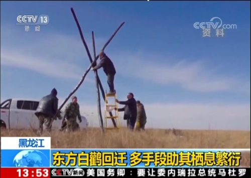 7790�ط����Ź������,����Ұ������׷��,��������׷����,����׷����