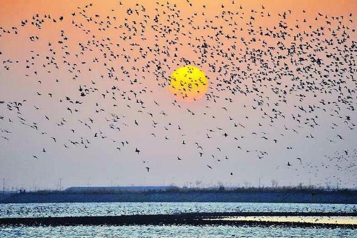 ���������Ͳ�,�Ͳ���,�Ͳ��,����ʱ���,�����,�Ͳ����Ǯ,�Ͳ�������,�Ͳ������