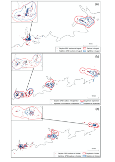 7790�ط����Ź������,����Ұ������׷��,��������׷����,����׷����