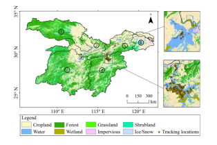 7790�ط����Ź������,����Ұ������׷��,��������׷����,����׷����