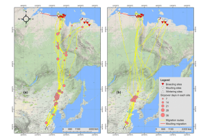 7790�ط����Ź������,����Ұ������׷��,��������׷����,����׷����