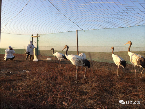 7790�ط����Ź������,����Ұ������׷��,��������׷����,����׷����