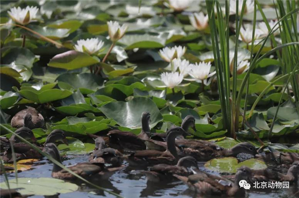 7790�ط����Ź������,����Ұ������׷��,��������׷����,����׷����