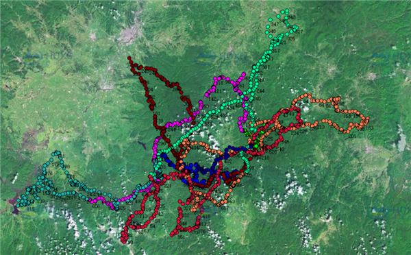 7790�ط����Ź������,����Ұ������׷��,��������׷����,����׷����