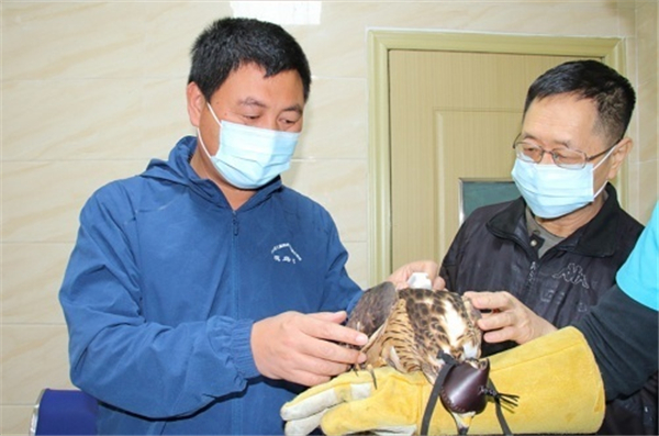 7790�ط����Ź������,����Ұ������׷��,��������׷����,����׷����