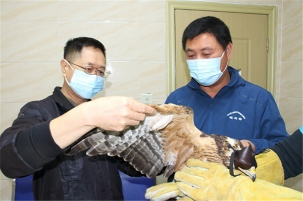 7790�ط����Ź������,����Ұ������׷��,��������׷����,����׷����