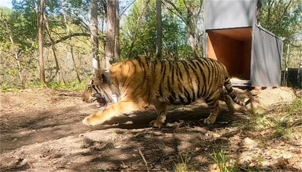 7790�ط����Ź������,����Ұ������׷��,��������׷����,����׷����