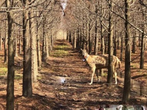 7790�ط����Ź������,����Ұ������׷��,��������׷����,����׷����