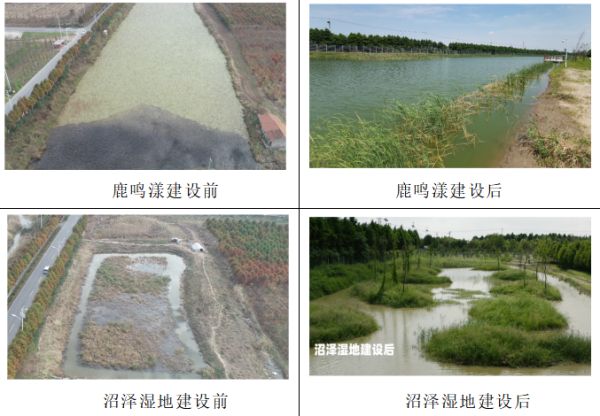 7790�ط����Ź������,����Ұ������׷��,��������׷����,����׷����