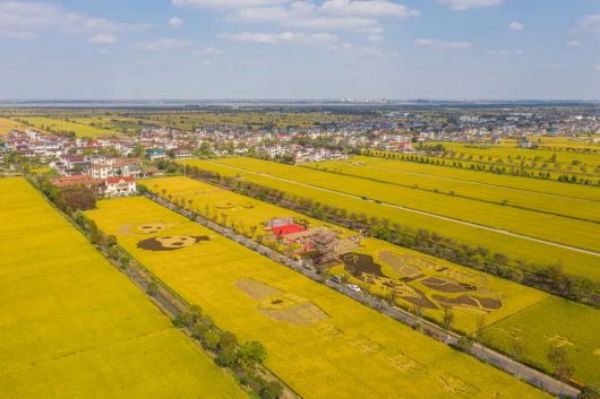 7790�ط����Ź������,����Ұ������׷��,��������׷����,����׷����