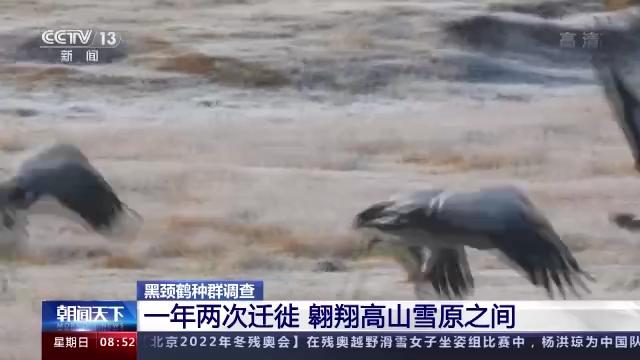 7790�ط����Ź������,����Ұ������׷��,��������׷����,����׷����