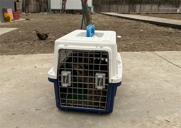 7790�ط����Ź������,����Ұ������׷��,��������׷����,����׷����