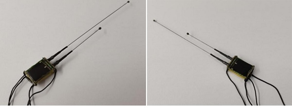 7790�ط����Ź������,����Ұ������׷��,��������׷����,����׷����