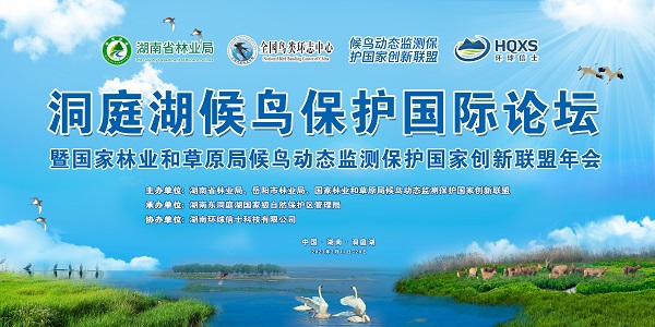7790�ط����Ź������,����Ұ������׷��,��������׷����,����׷����