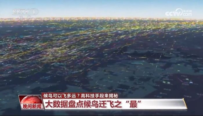 7790�ط����Ź������,����Ұ������׷��,��������׷����,����׷����