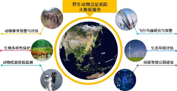 7790�ط����Ź������,����Ұ������׷��,��������׷����,����׷����