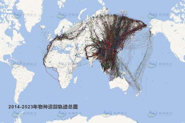 7790�ط����Ź������,����Ұ������׷��,��������׷����,����׷����