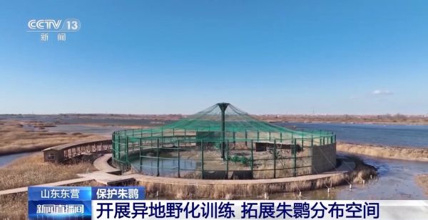 7790�ط����Ź������,����Ұ������׷��,��������׷����,����׷����