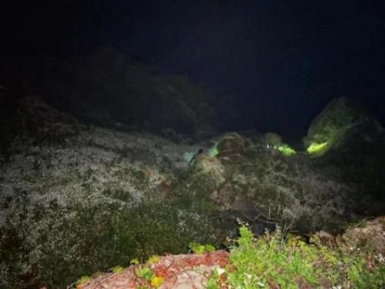 7790�ط����Ź������,����Ұ������׷��,��������׷����,����׷����