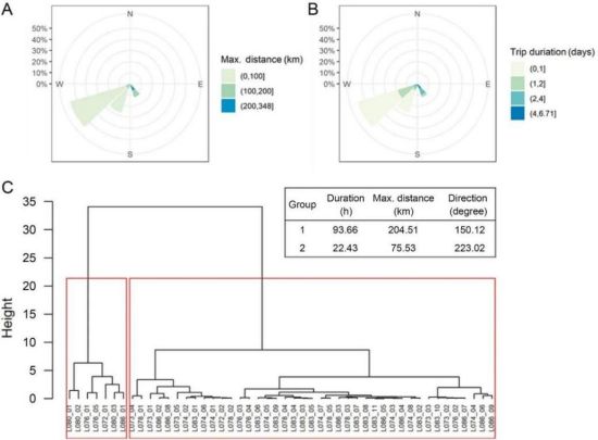 7790�ط����Ź������,����Ұ������׷��,��������׷����,����׷����