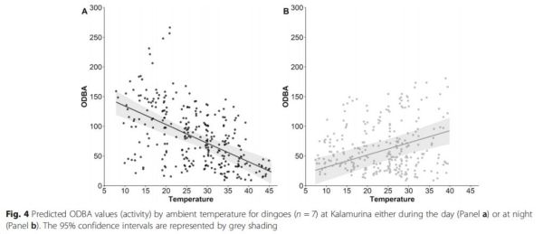 7790�ط����Ź������,����Ұ������׷��,��������׷����,����׷����