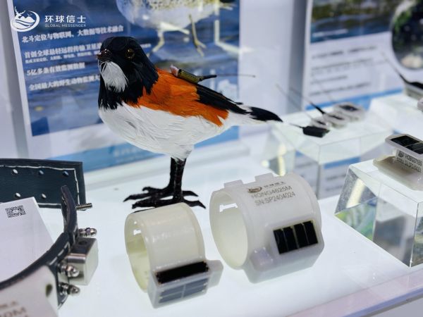 7790�ط����Ź������,����Ұ������׷��,��������׷����,����׷����